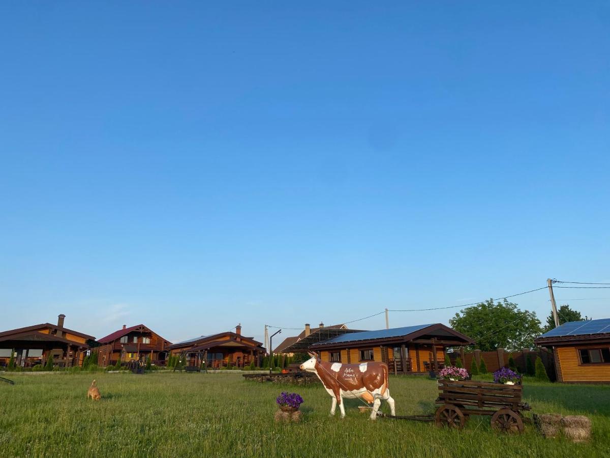 Vila Хомене Rzhyshchiv Exteriér fotografie